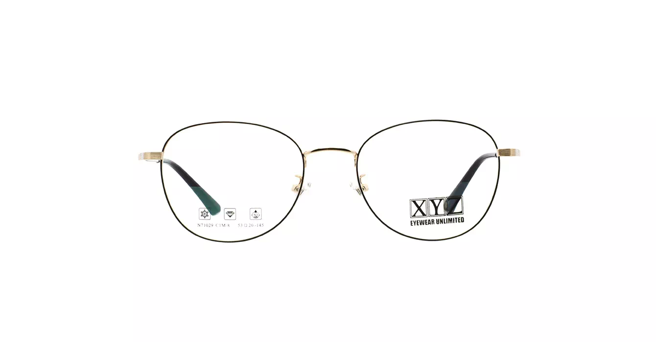 XYZ N71029 C1M/8 s53