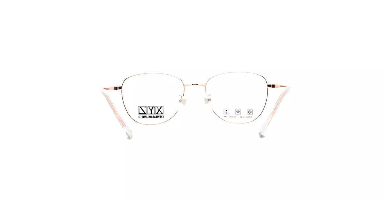XYZ N71035 CP8 s50