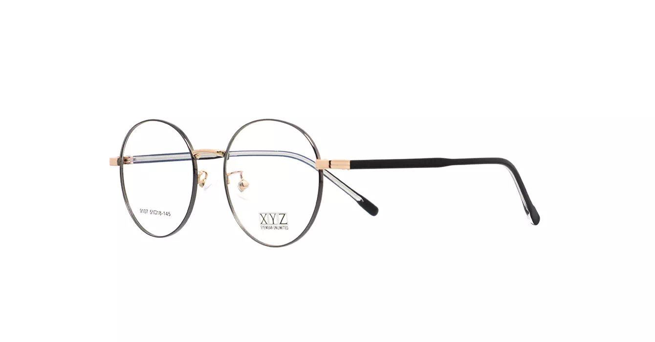 XYZ 9107 C22 s51