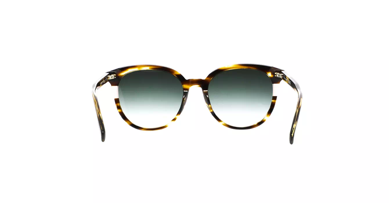 Longchamp LO752S 211 s55