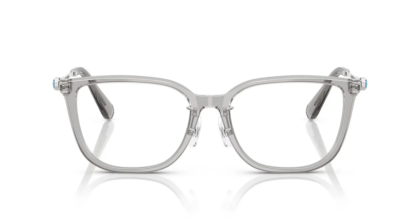 Swarovski SK2041D 1069 s54