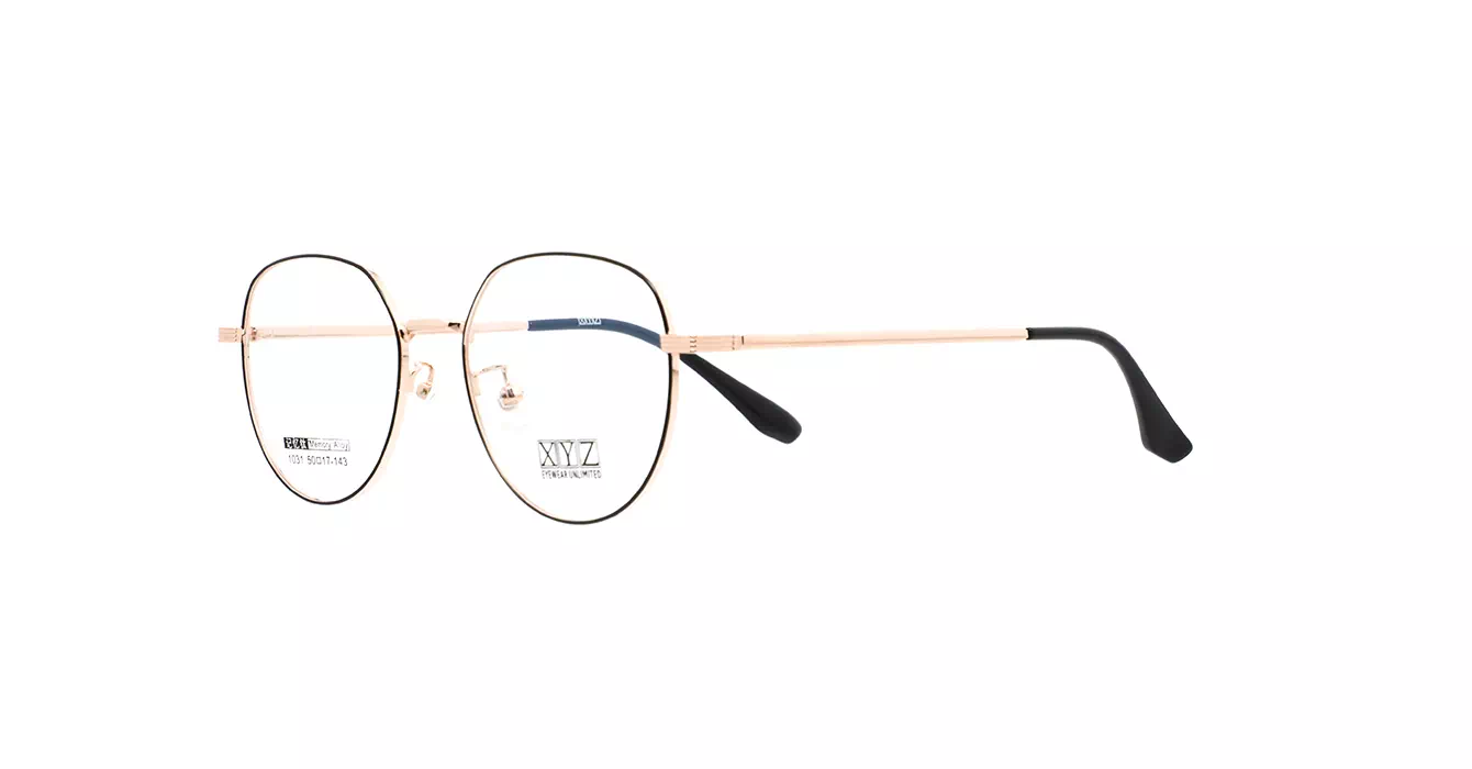 XYZ 1031 C22 s50