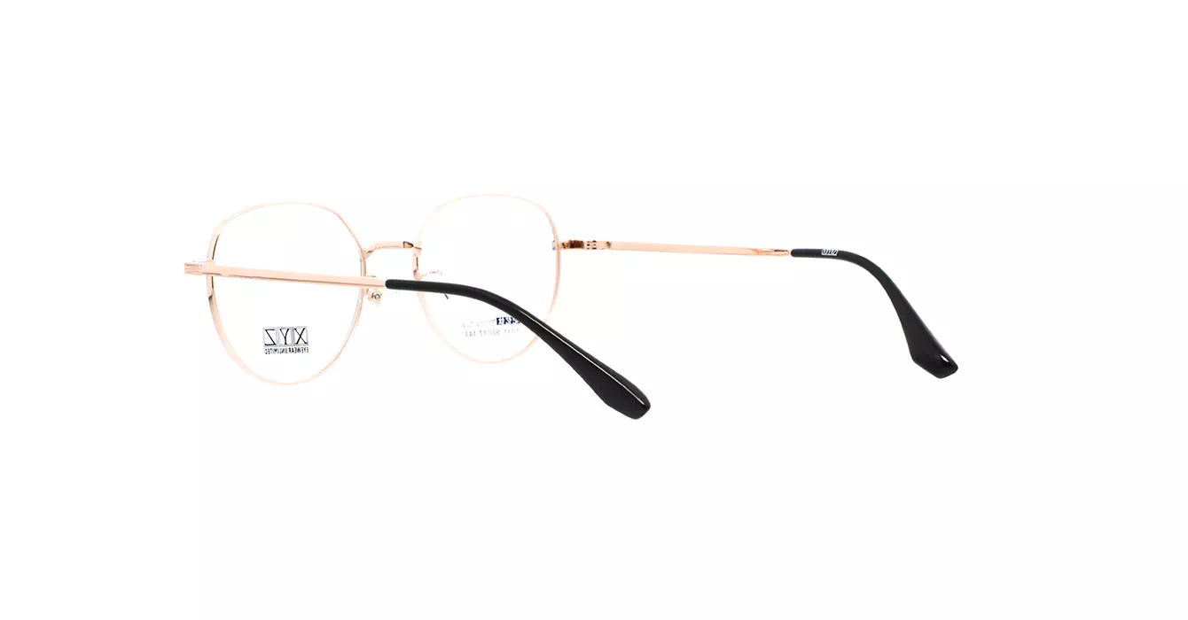 XYZ 1031 C22 s50