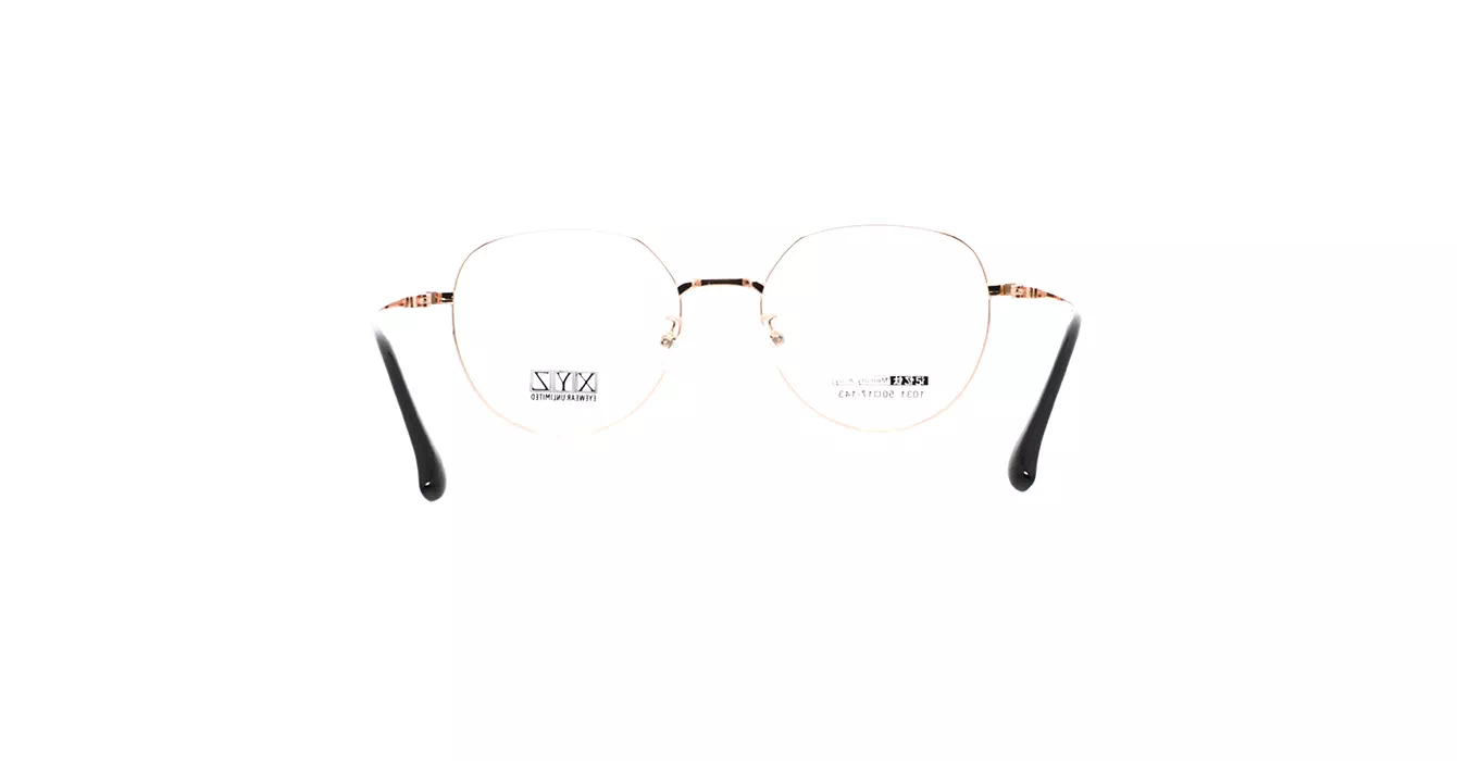 XYZ 1031 C22 s50