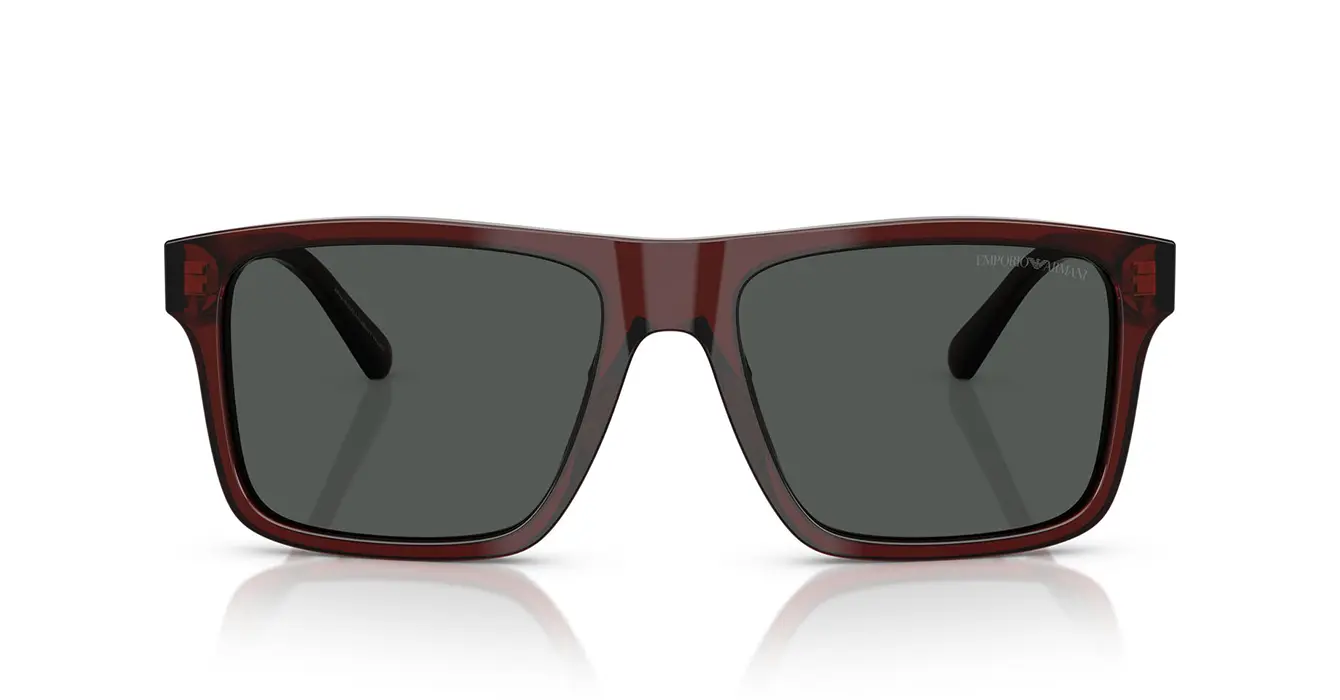 Emporio Armani EA4232F 6174/87 s57