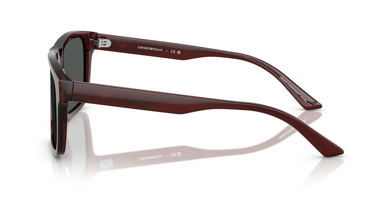 Emporio Armani EA4232F 6174/87 s57