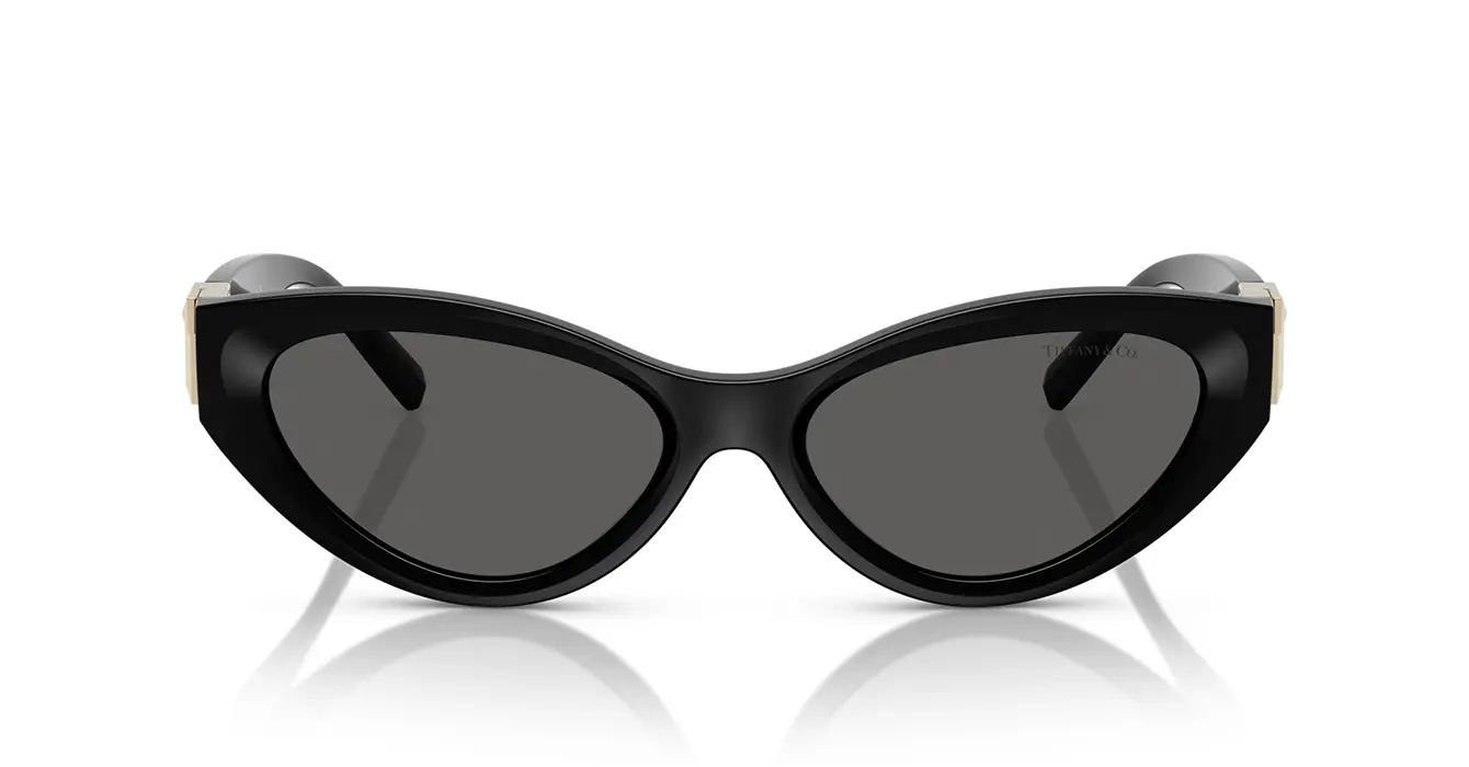 Tiffany&co TF4225-U 8001/S4 s54