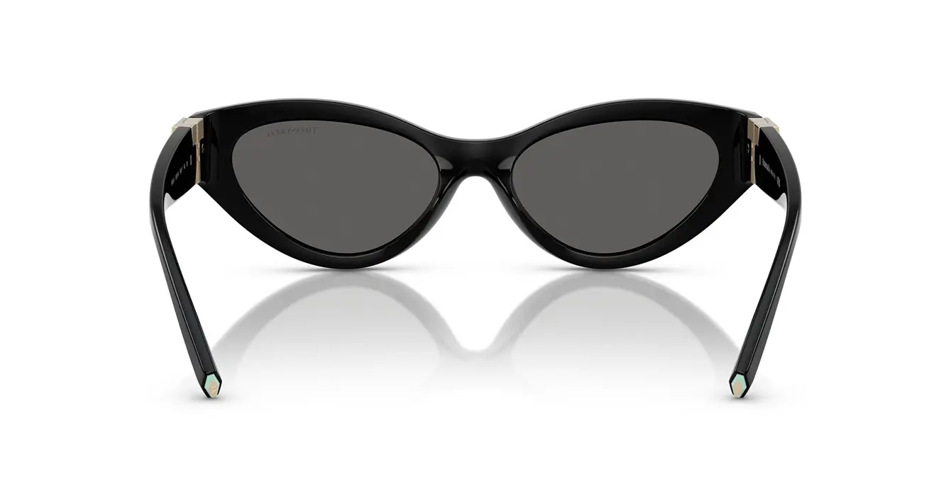 Tiffany&co TF4225-U 8001/S4 s54