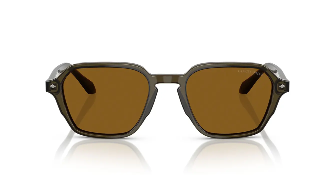 Giorgio Armani AR8220-F 6169/33 s54