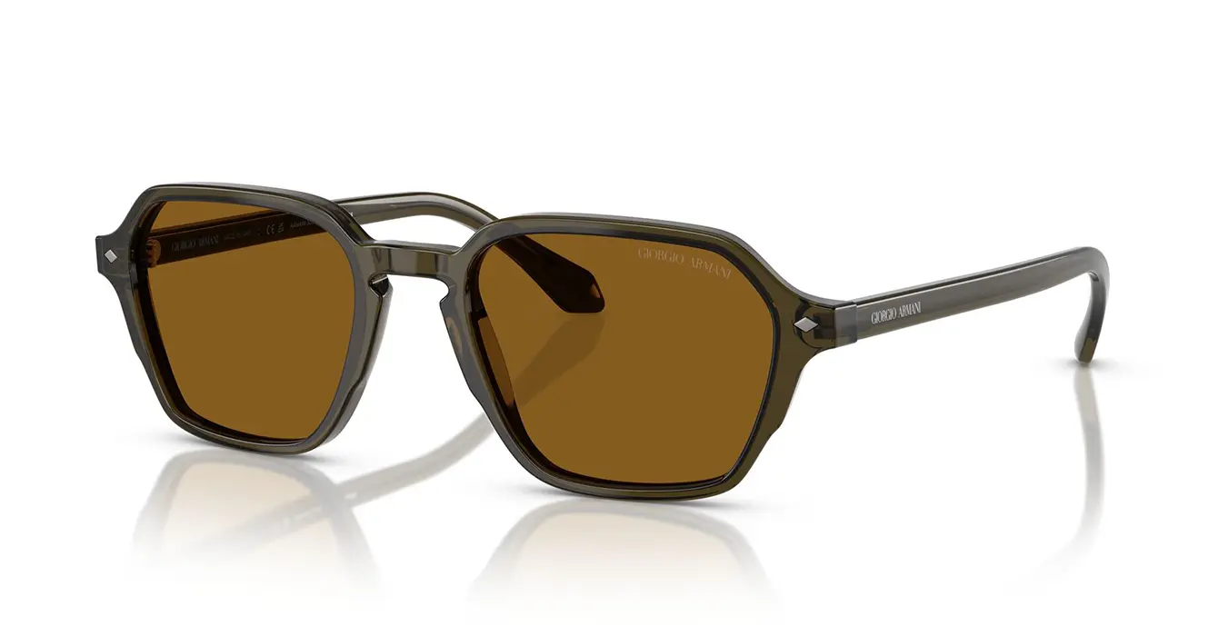 Giorgio Armani AR8220-F 6169/33 s54