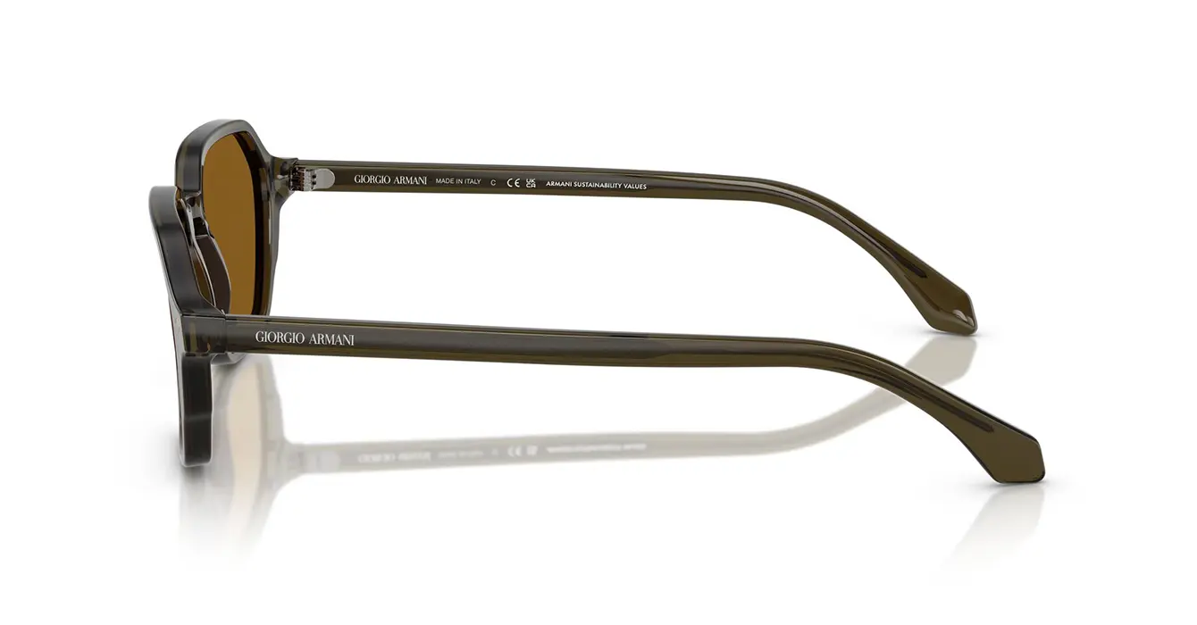 Giorgio Armani AR8220-F 6169/33 s54