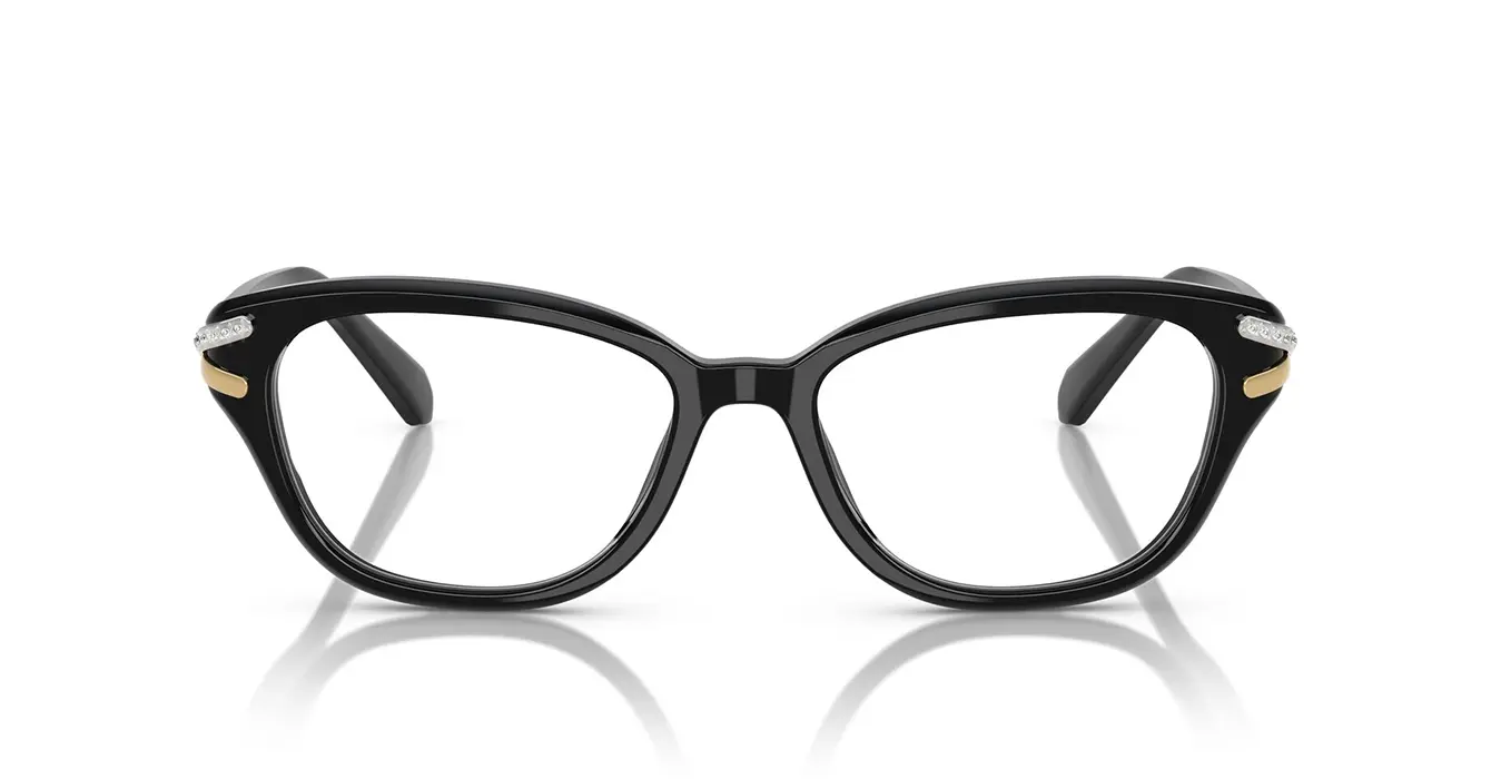 Swarovski SK2032F 1001 s54