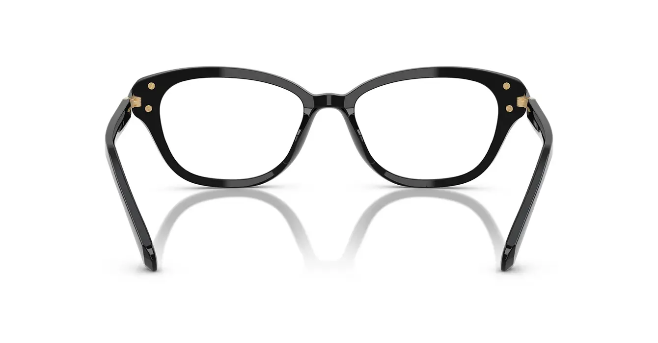 Swarovski SK2032F 1001 s54