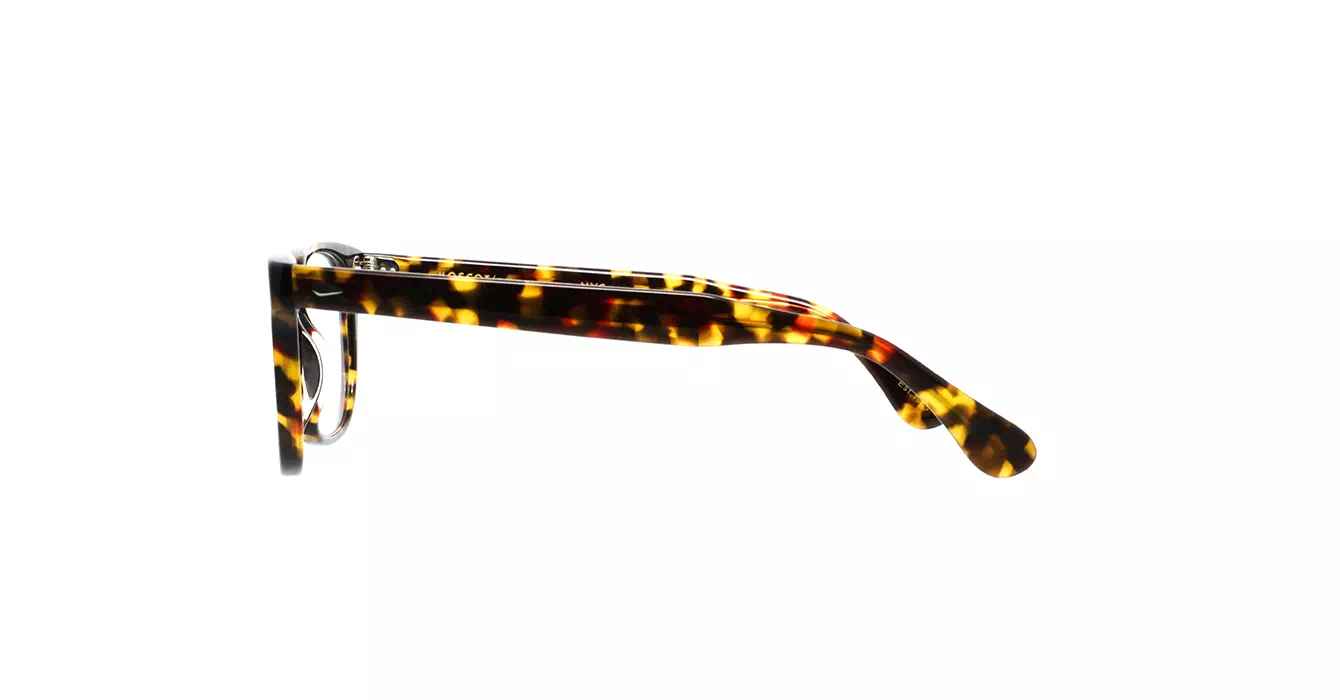 Moscot Boychik Tortoise s52