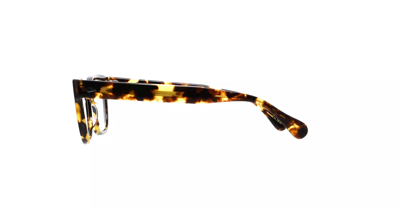 Moscot Hazen Classic Havana s50