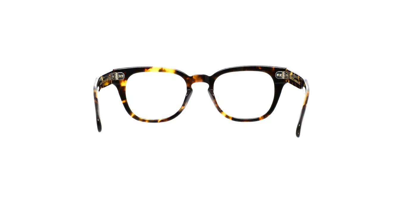 Moscot Hazen Classic Havana s50