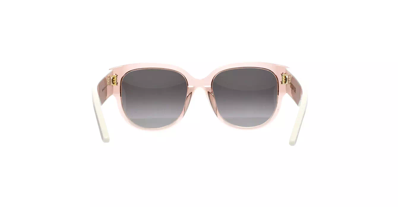 Dior Pacific B2F CD40157F 40D2 s55