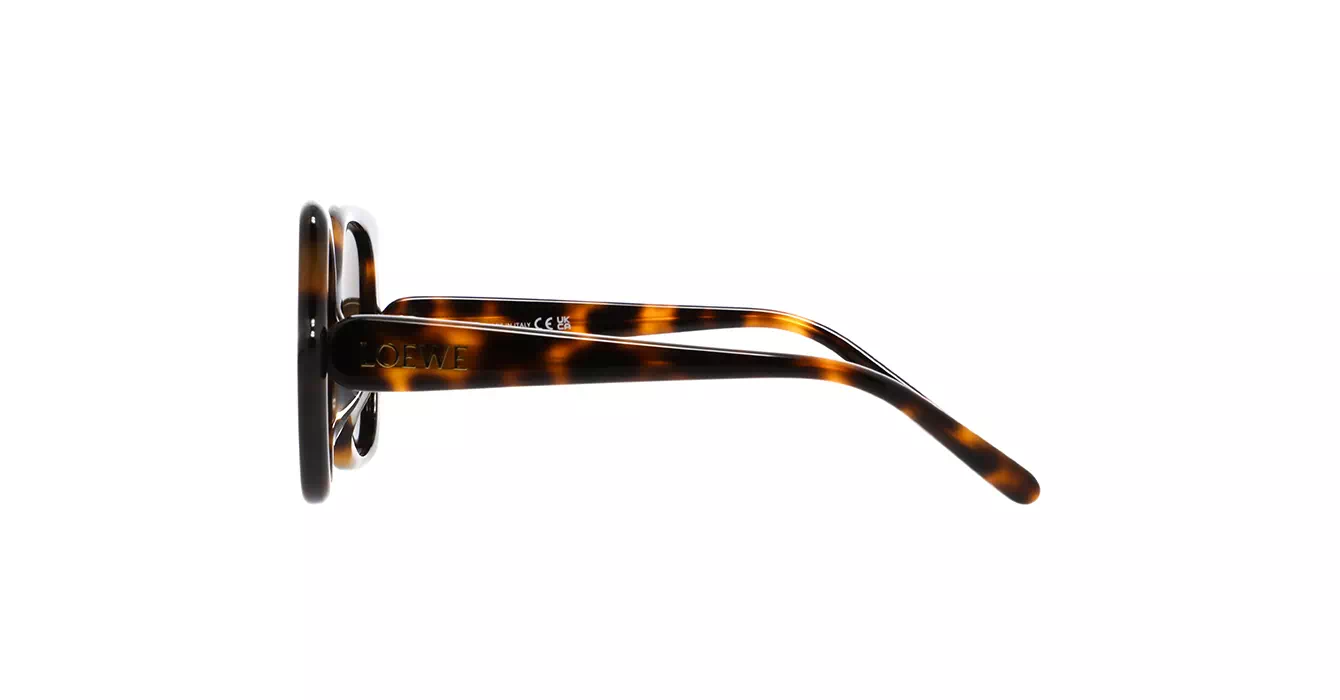 Loewe LW40133F 52E s55