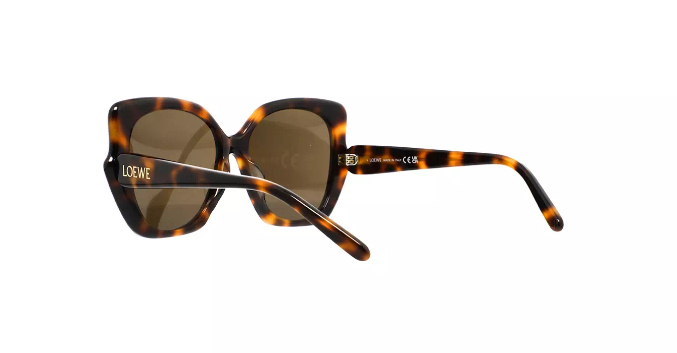 Loewe LW40133F 52E s55