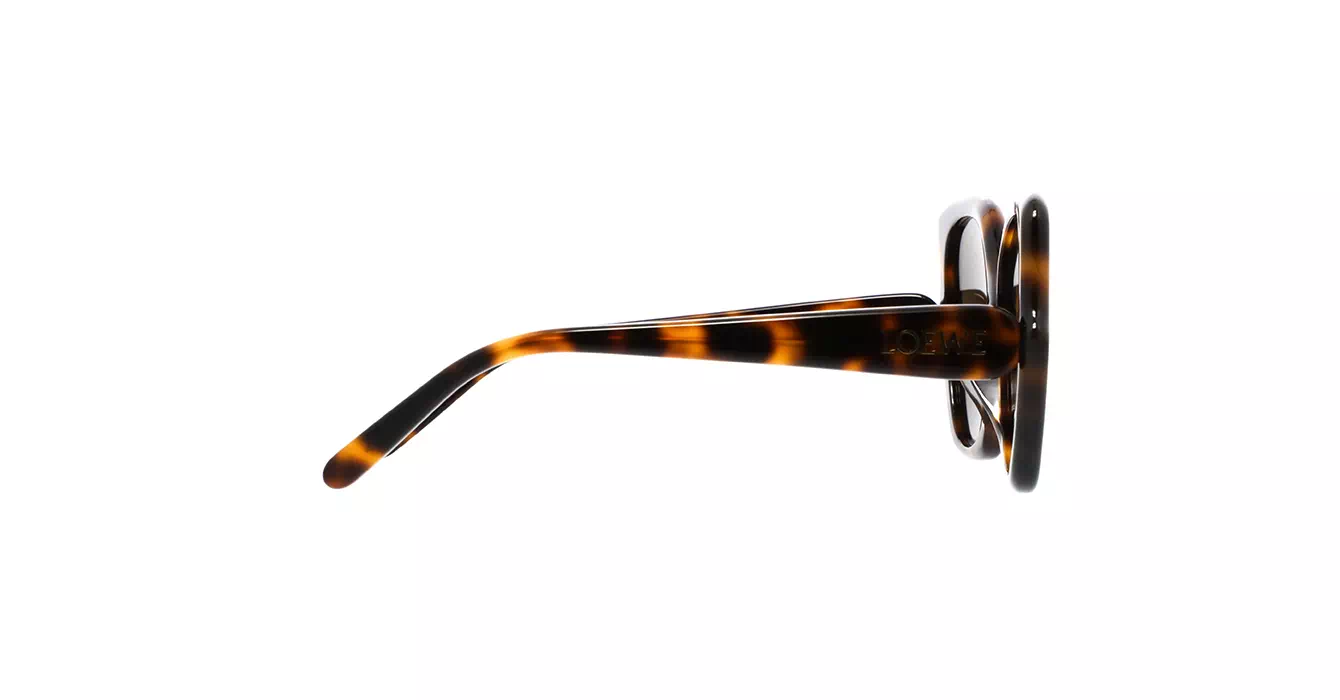 Loewe LW40133F 52E s55