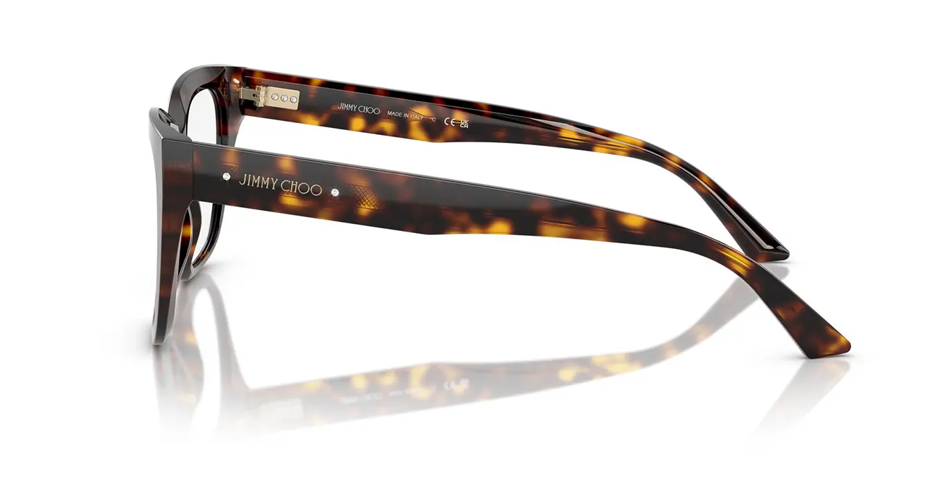 Jimmy Choo JC3019BF 5002 s54