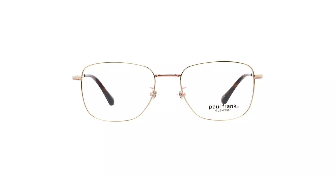 Paul Frank PFF8343 3333 s53
