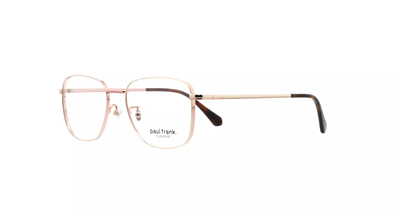 Paul Frank PFF8343 3333 s53