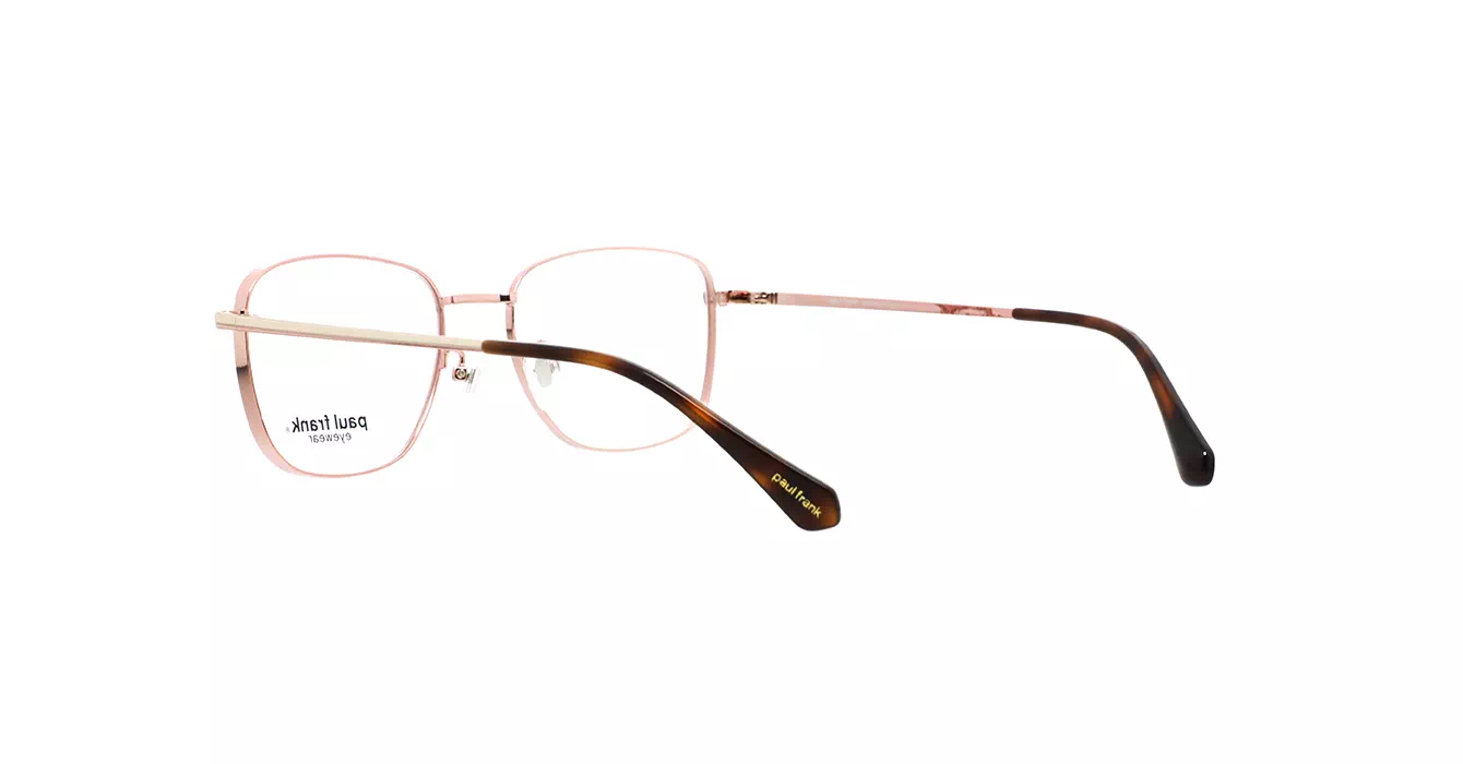 Paul Frank PFF8343 3333 s53