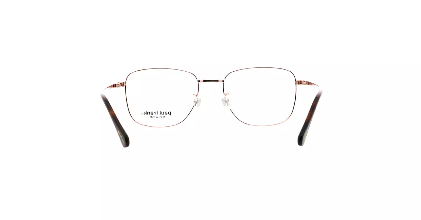 Paul Frank PFF8343 3333 s53