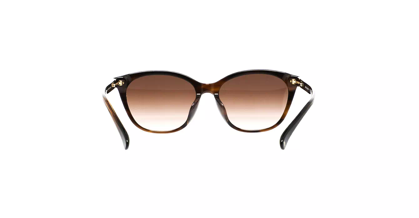 Longchamp LO767SLBJ 211 s54