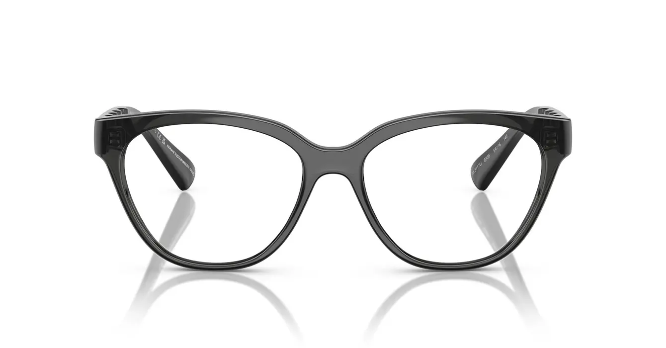 Armani Exchange AX3117U 8356 s54