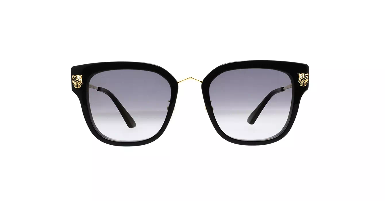 Cartier CT0509SA 001 s55