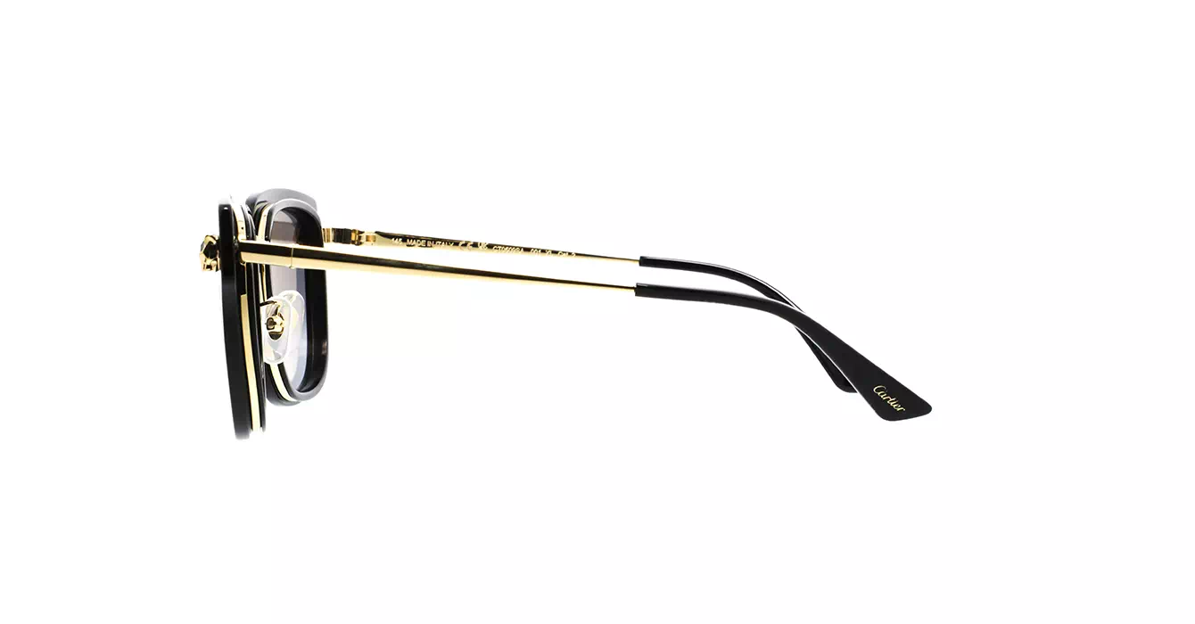 Cartier CT0509SA 001 s55
