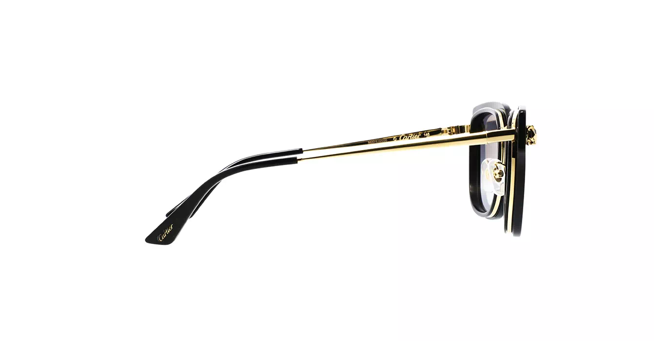 Cartier CT0509SA 001 s55