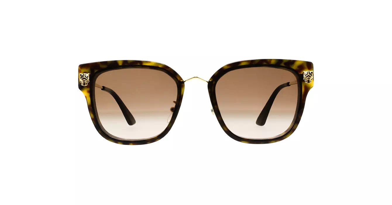 Cartier CT0509SA 002 s55