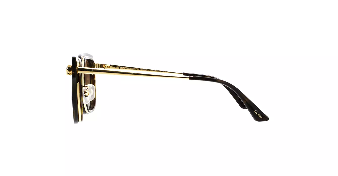 Cartier CT0509SA 002 s55
