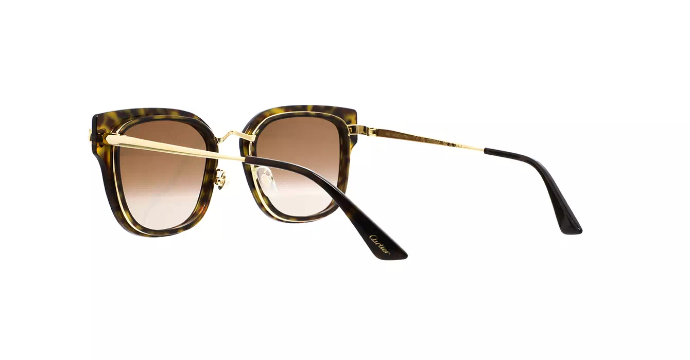 Cartier CT0509SA 002 s55