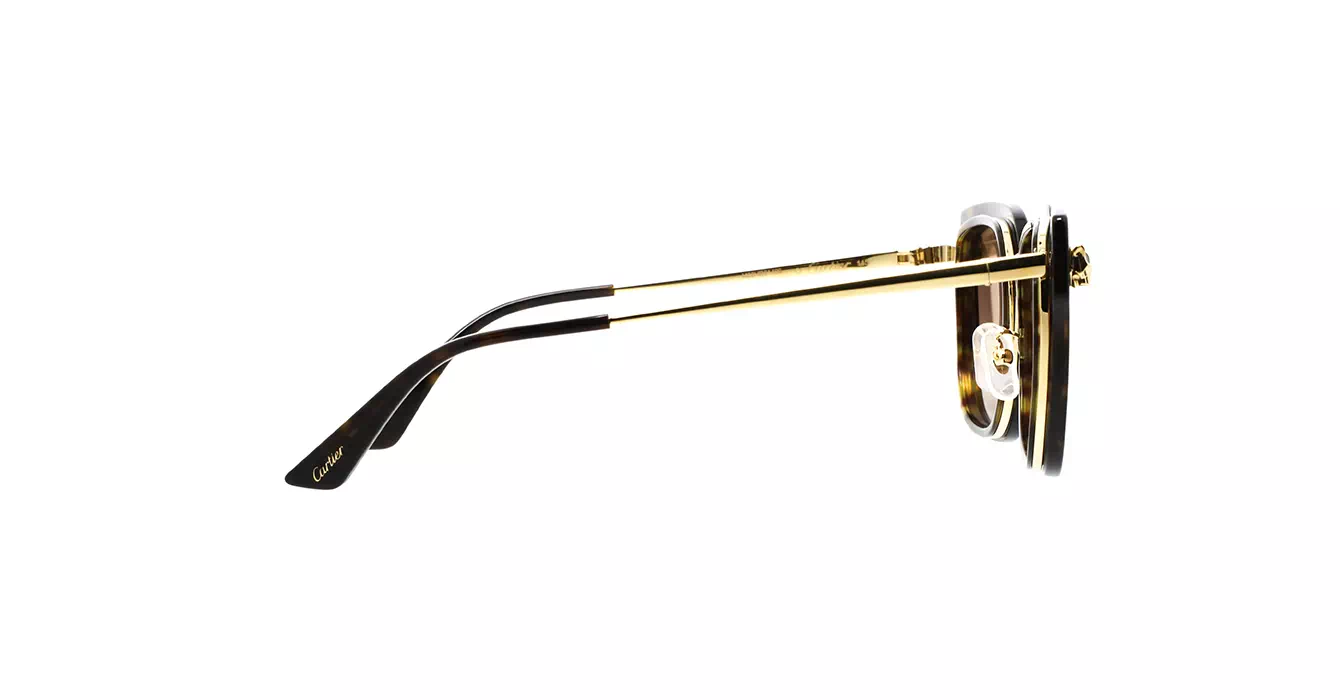 Cartier CT0509SA 002 s55