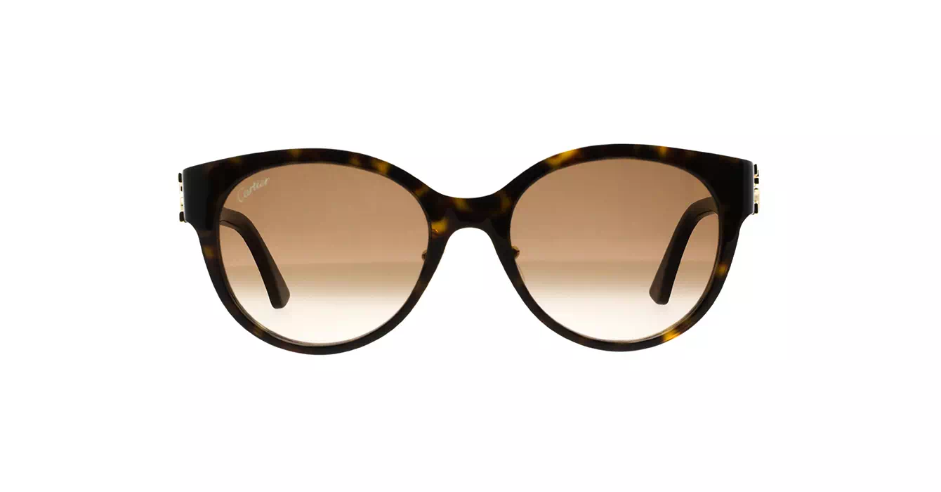 Cartier CT0510SJ 002 s55