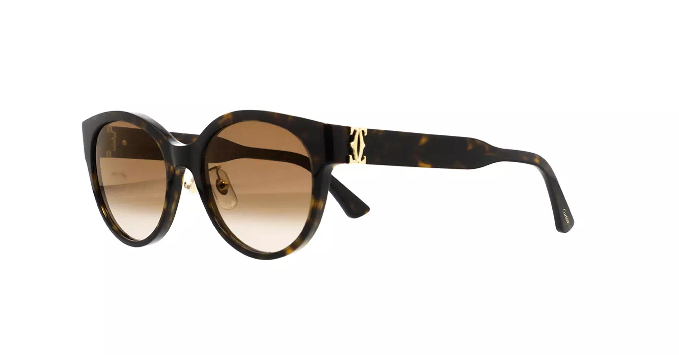 Cartier CT0510SJ 002 s55