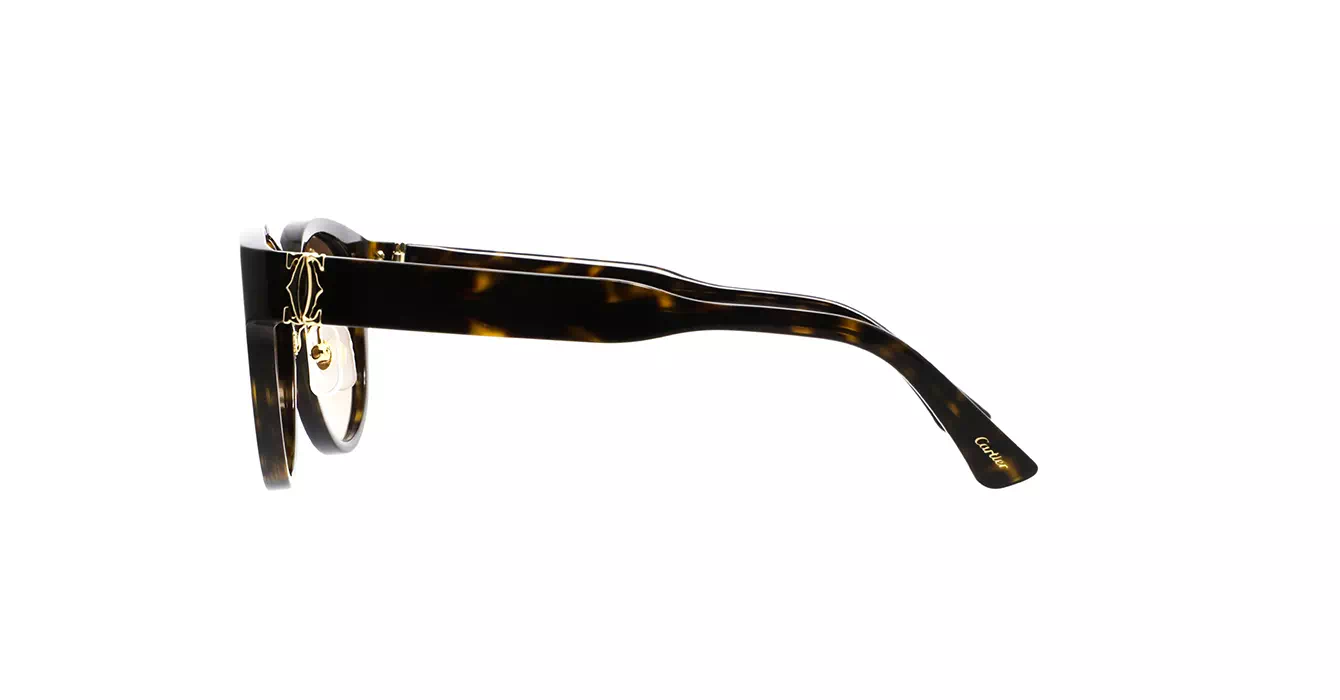 Cartier CT0510SJ 002 s55