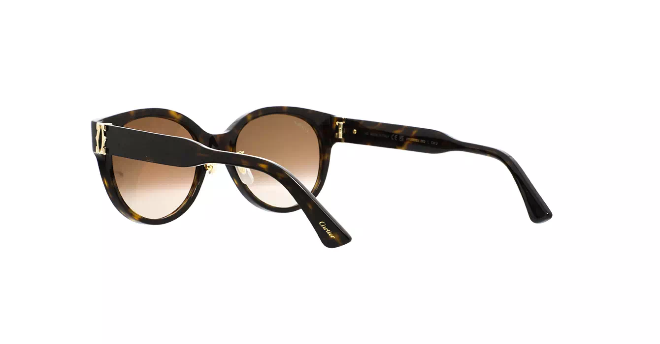 Cartier CT0510SJ 002 s55