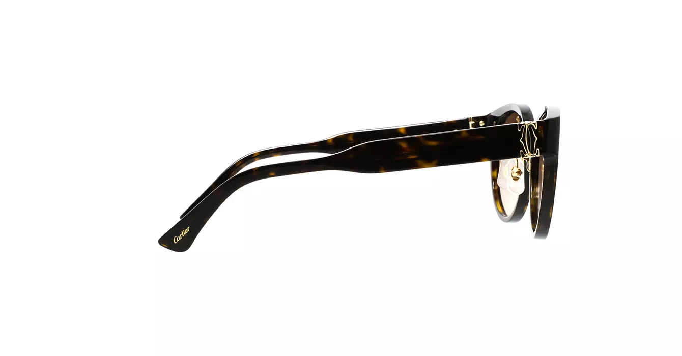 Cartier CT0510SJ 002 s55