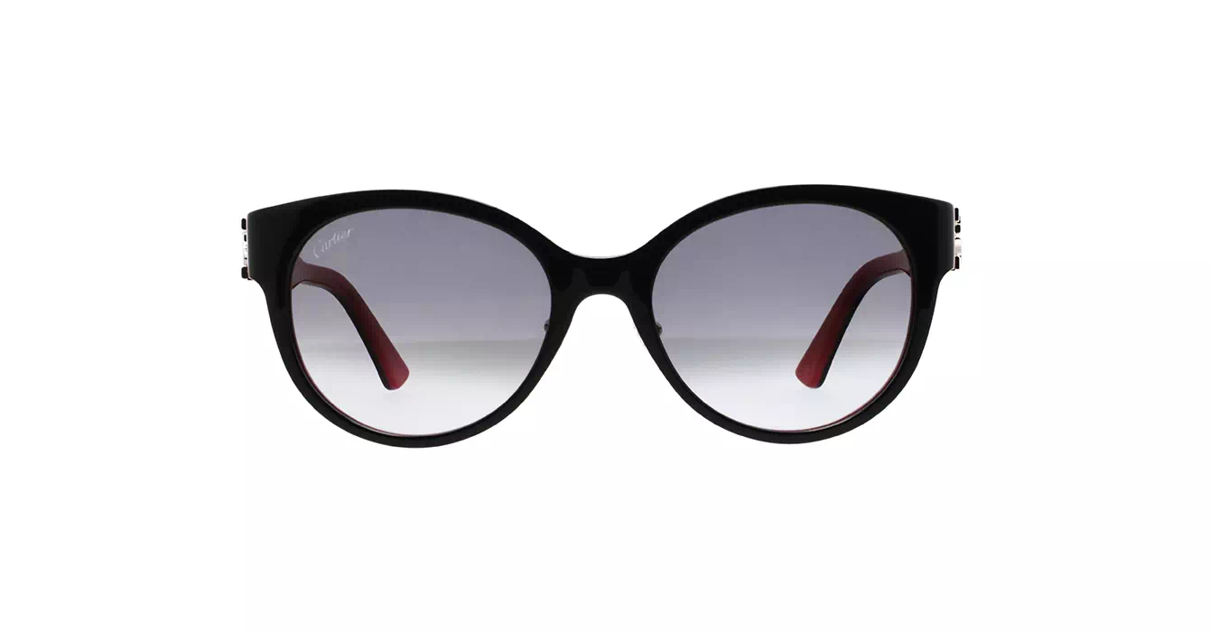 Cartier CT0510SJ 003 s55