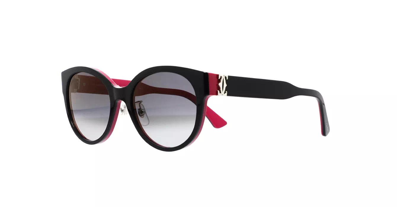 Cartier CT0510SJ 003 s55