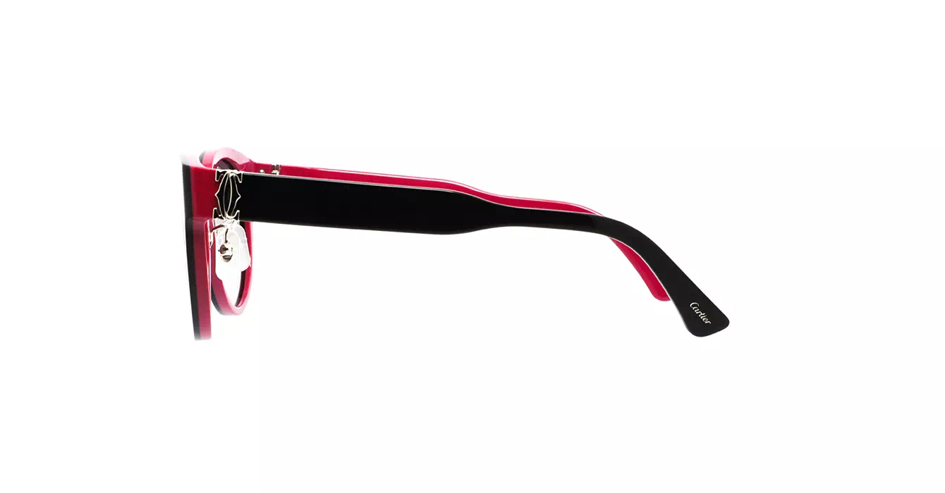 Cartier CT0510SJ 003 s55