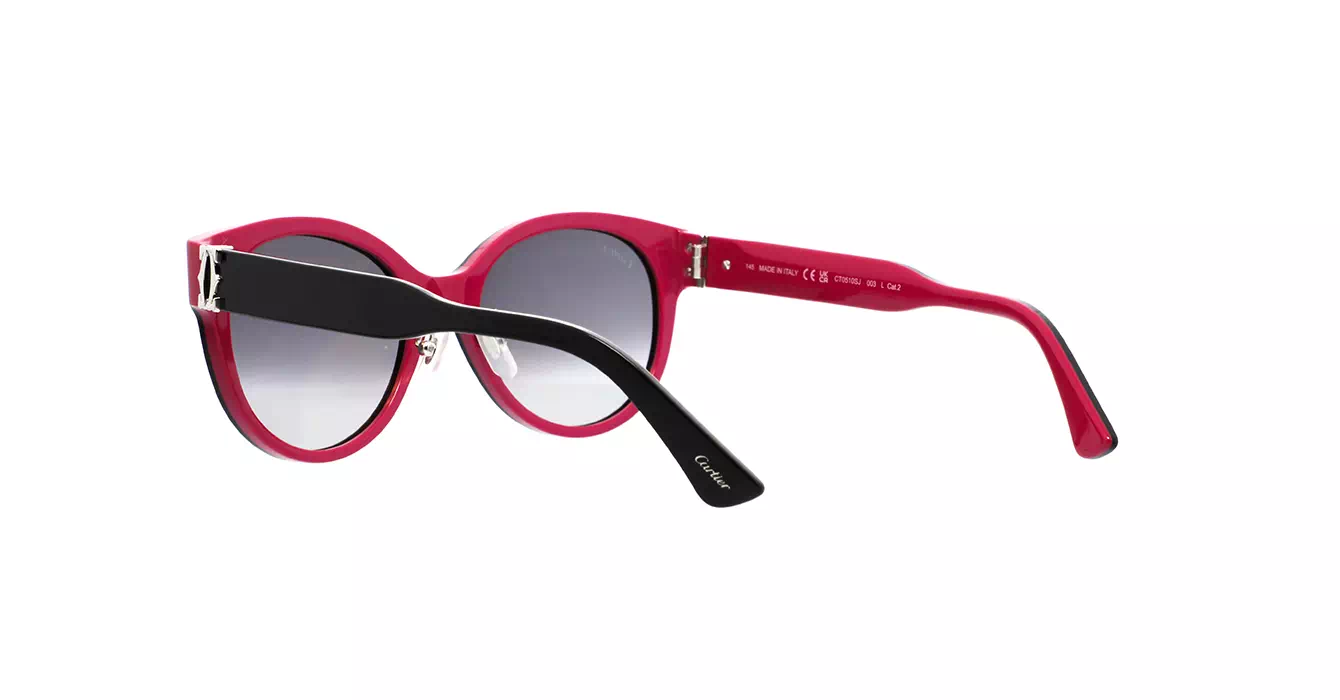 Cartier CT0510SJ 003 s55