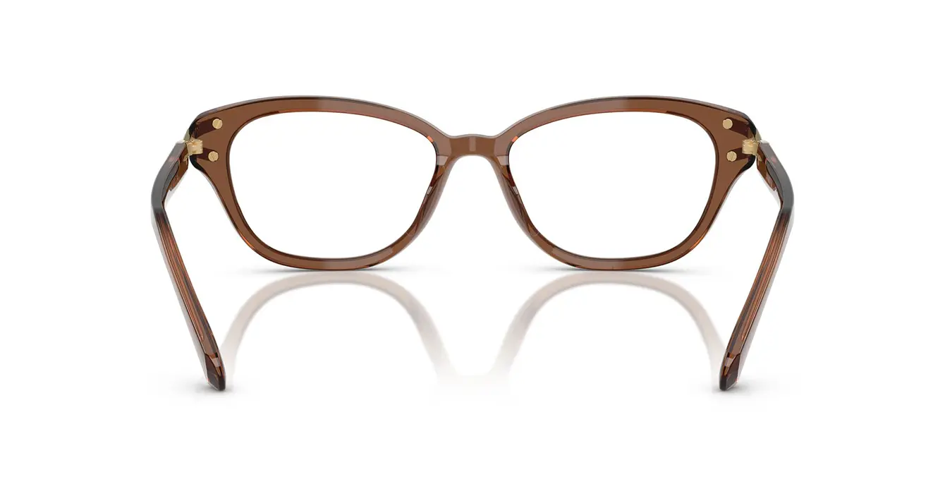 Swarovski SK2032F 1067 s54