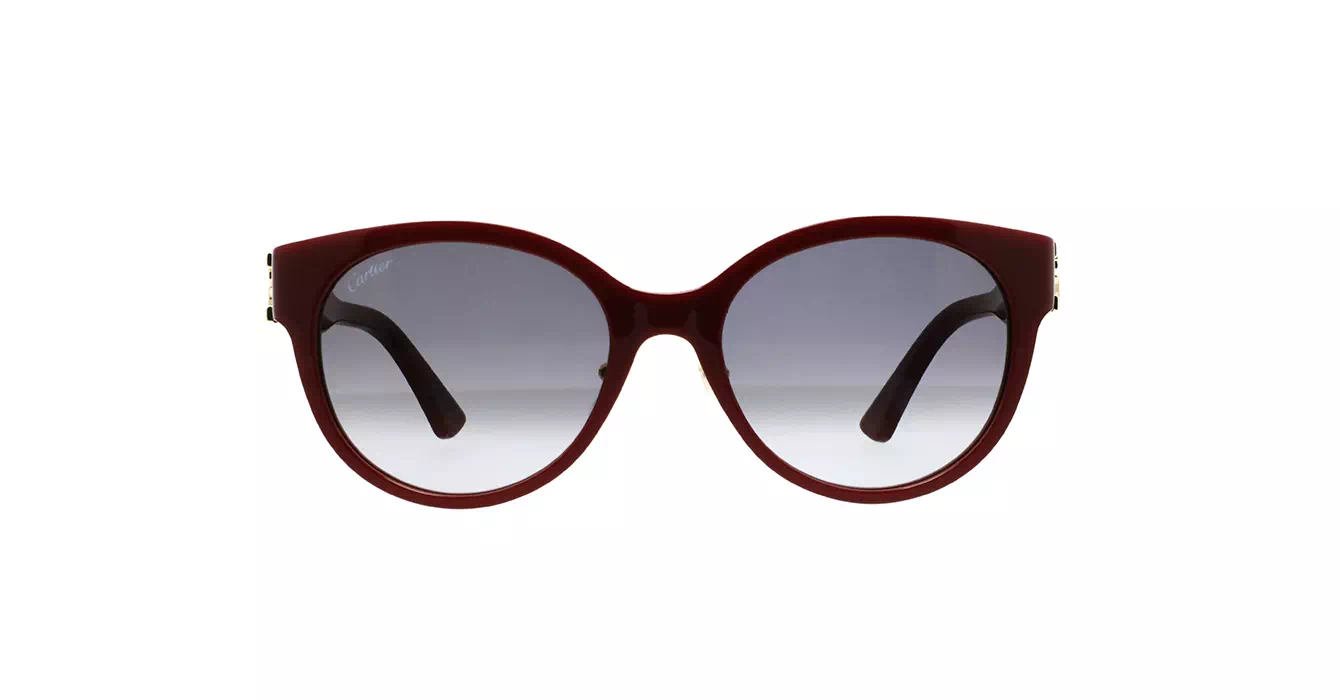 Cartier CT0510SJ 004 s55