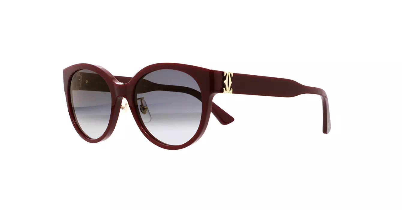 Cartier CT0510SJ 004 s55